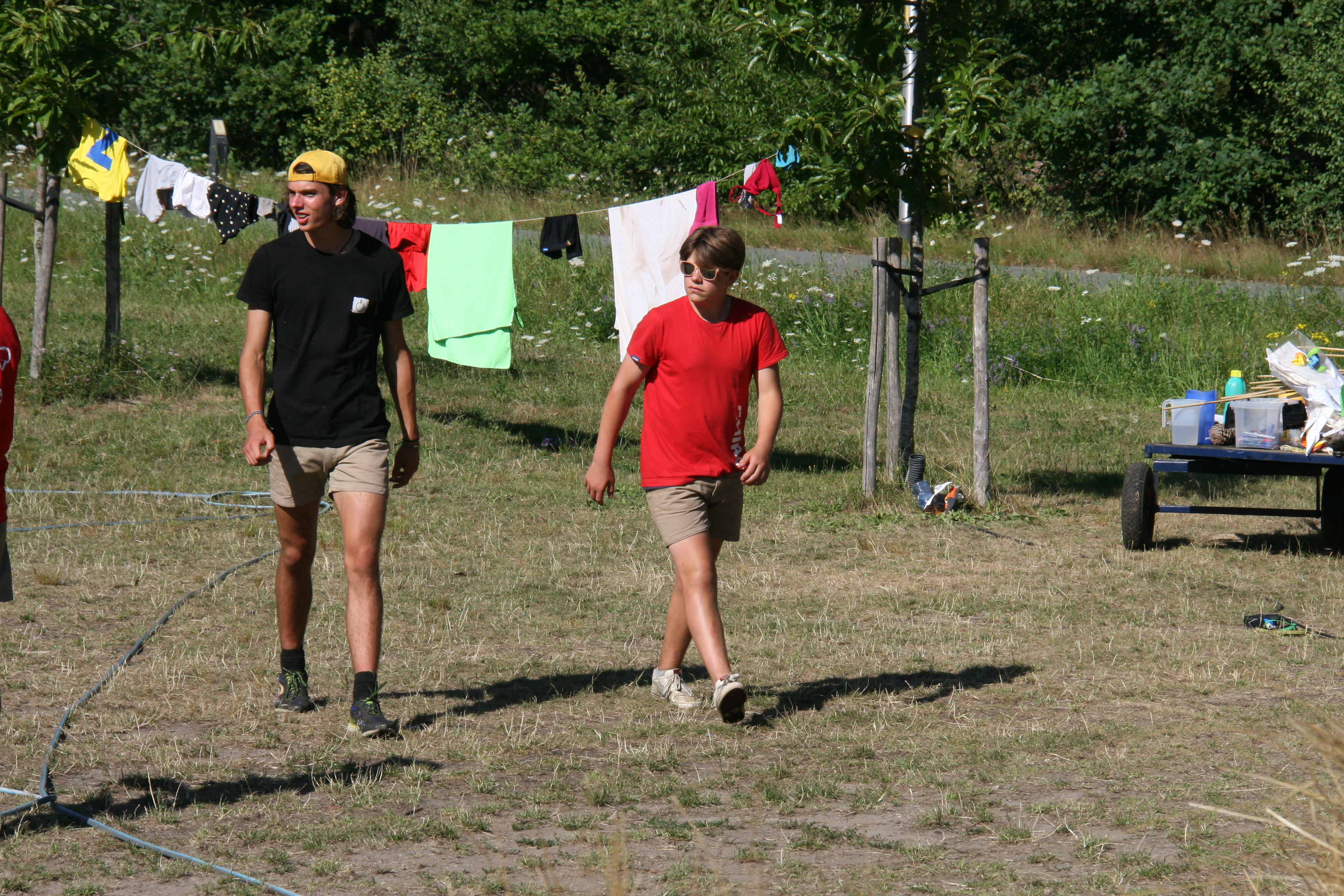 IMG_6802