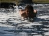 IMG_6537