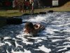 IMG_6538