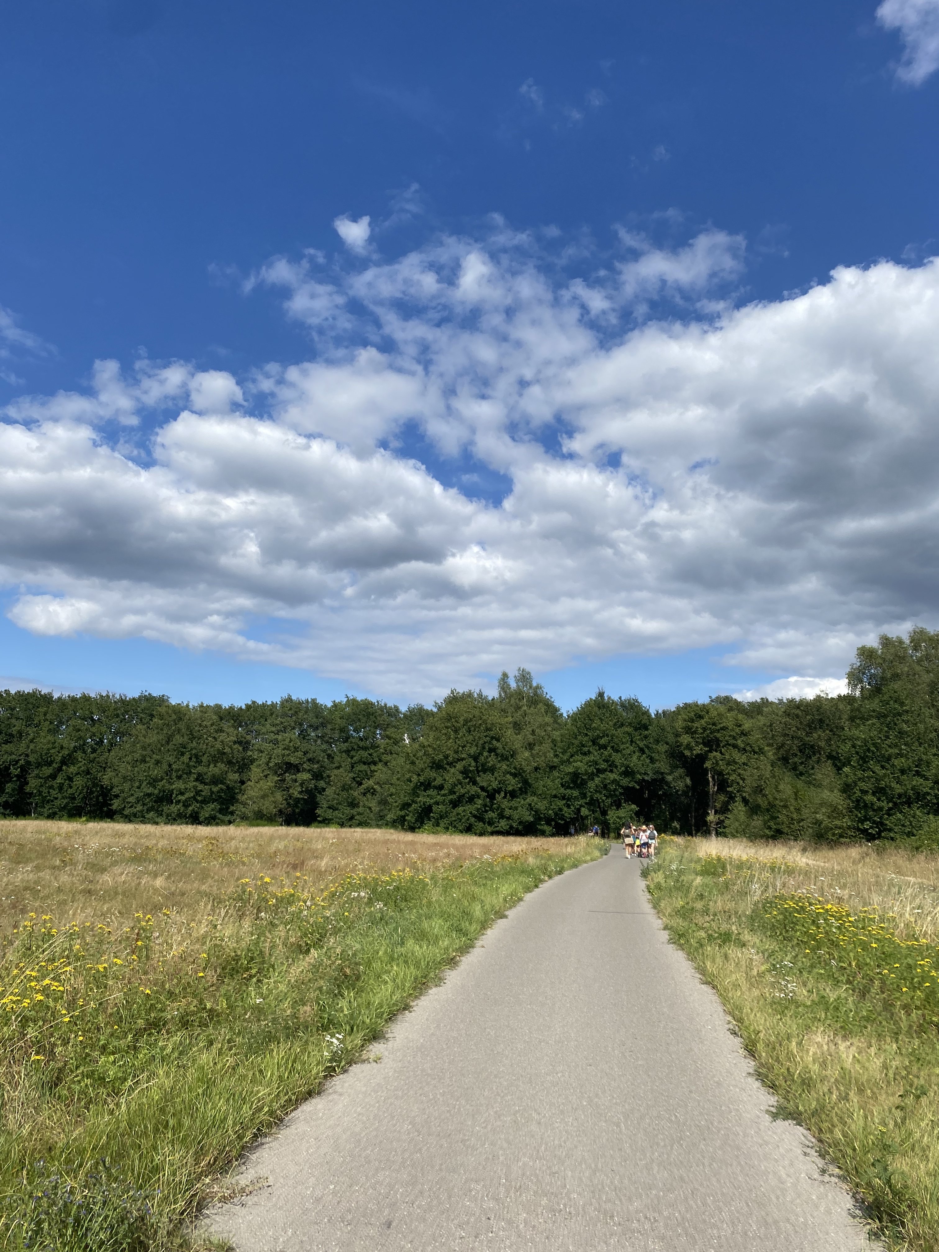 image00017