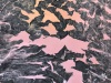 image00046