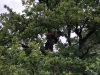image00048