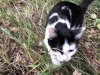 image00059