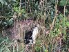 image00067