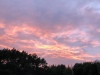 image00071