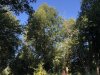 image00076