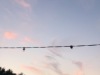 image00138