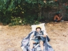 Kamp Koersel 1995_5.jpeg