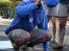 IMG_2174.JPG