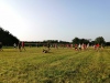 IMG_20210722_193850