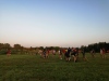 IMG_20210722_204627