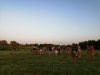 IMG_20210722_204653