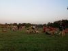 IMG_20210722_204955