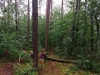 IMG_20210724_162346
