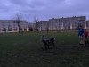 image00033