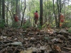 IMG_20210722_161242