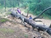 IMG_20210725_203537