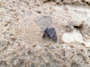 IMG_20210727_155750
