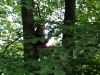 IMG_20210729_112213