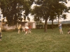 MJ0101_Allerlei_foto_25.jpg