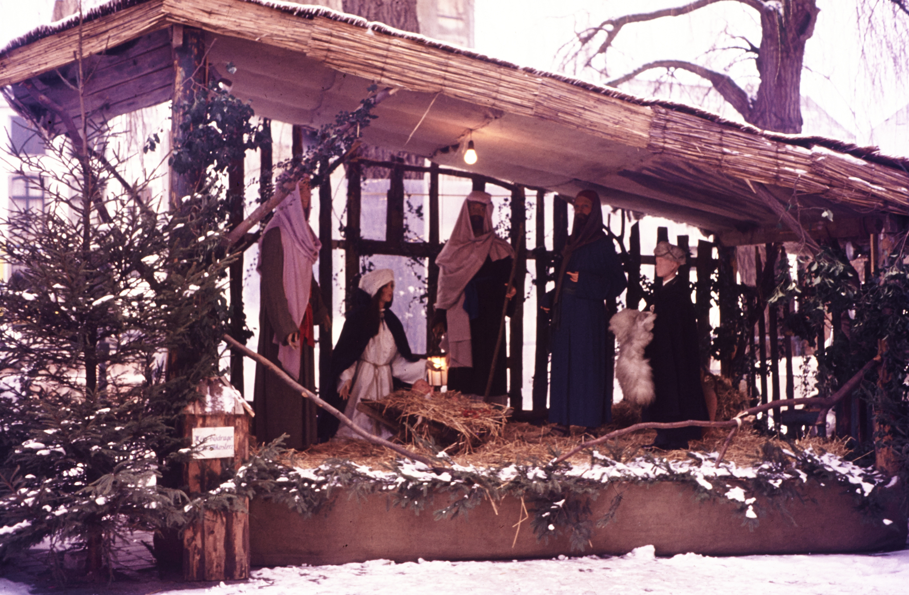 MJ0101_1971-75_foto_65.jpg