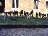 MJ0101_1971-75_foto_15.jpg