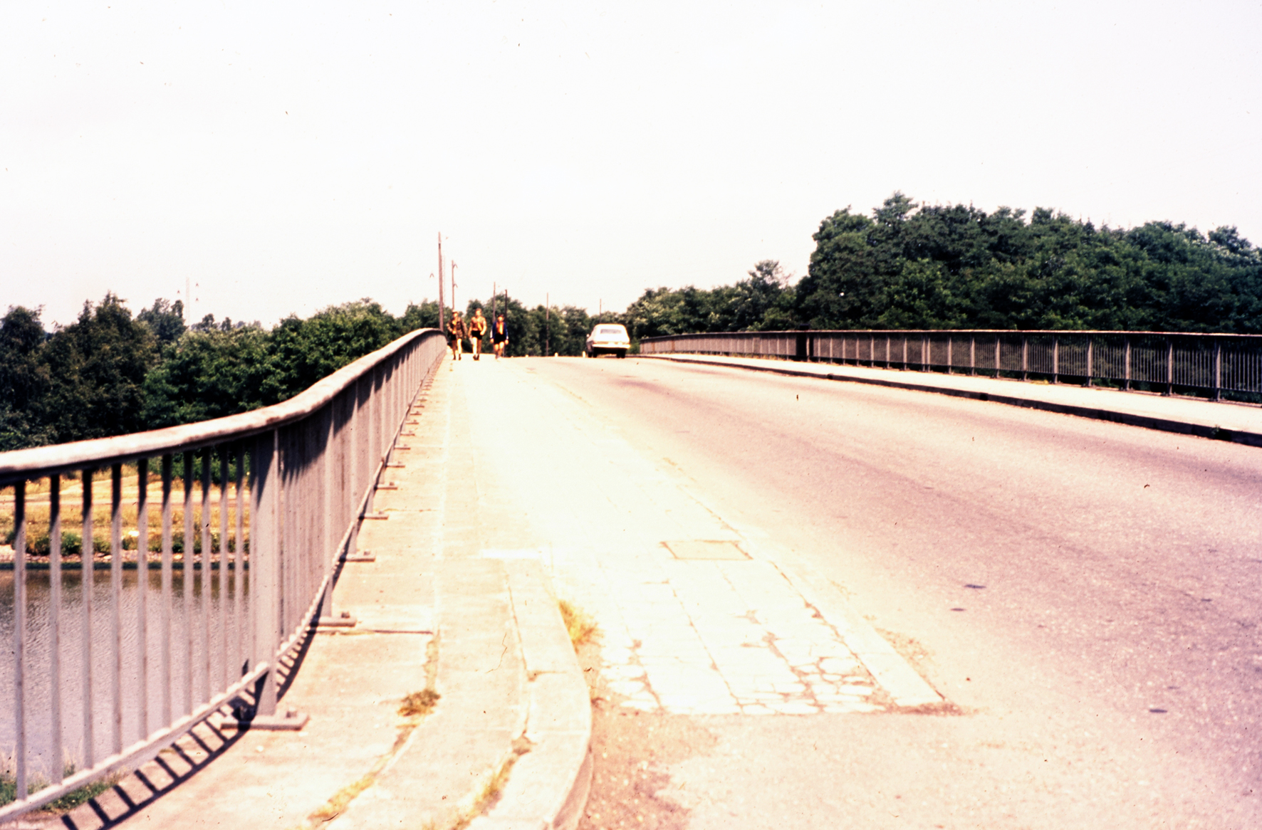 MJ0101_1971_foto_44.jpg