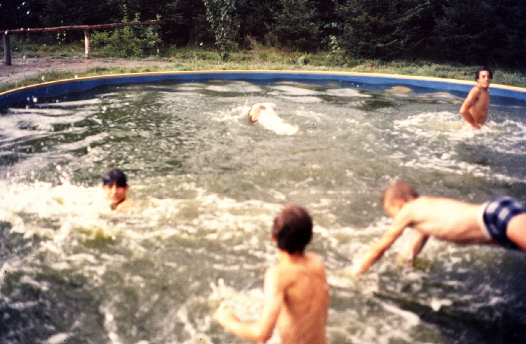 MJ0101_1971_foto_53.jpg