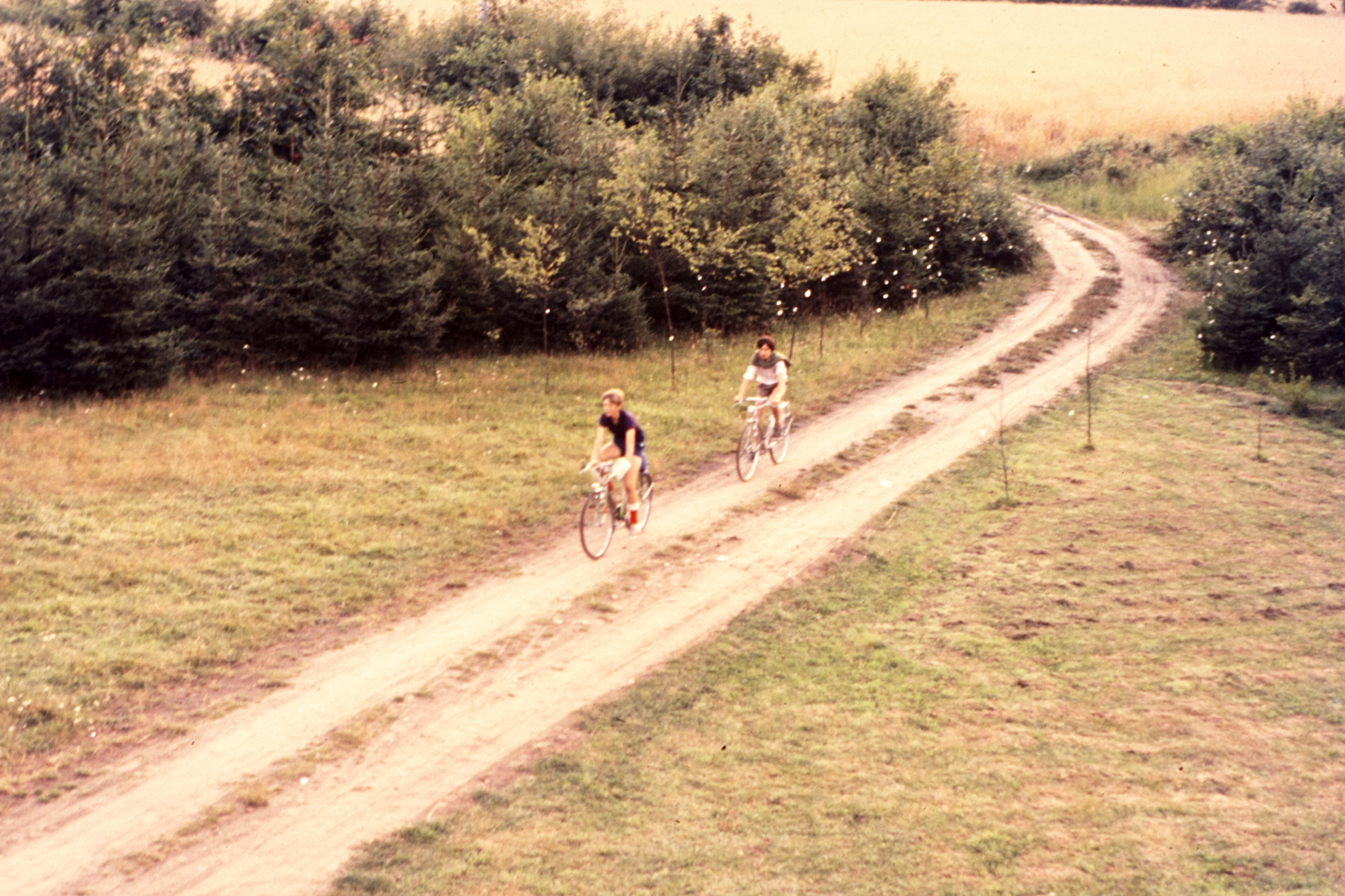 MJ0101_1971_foto_65.jpg