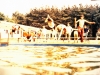 MJ0101_1971_foto_75.jpg