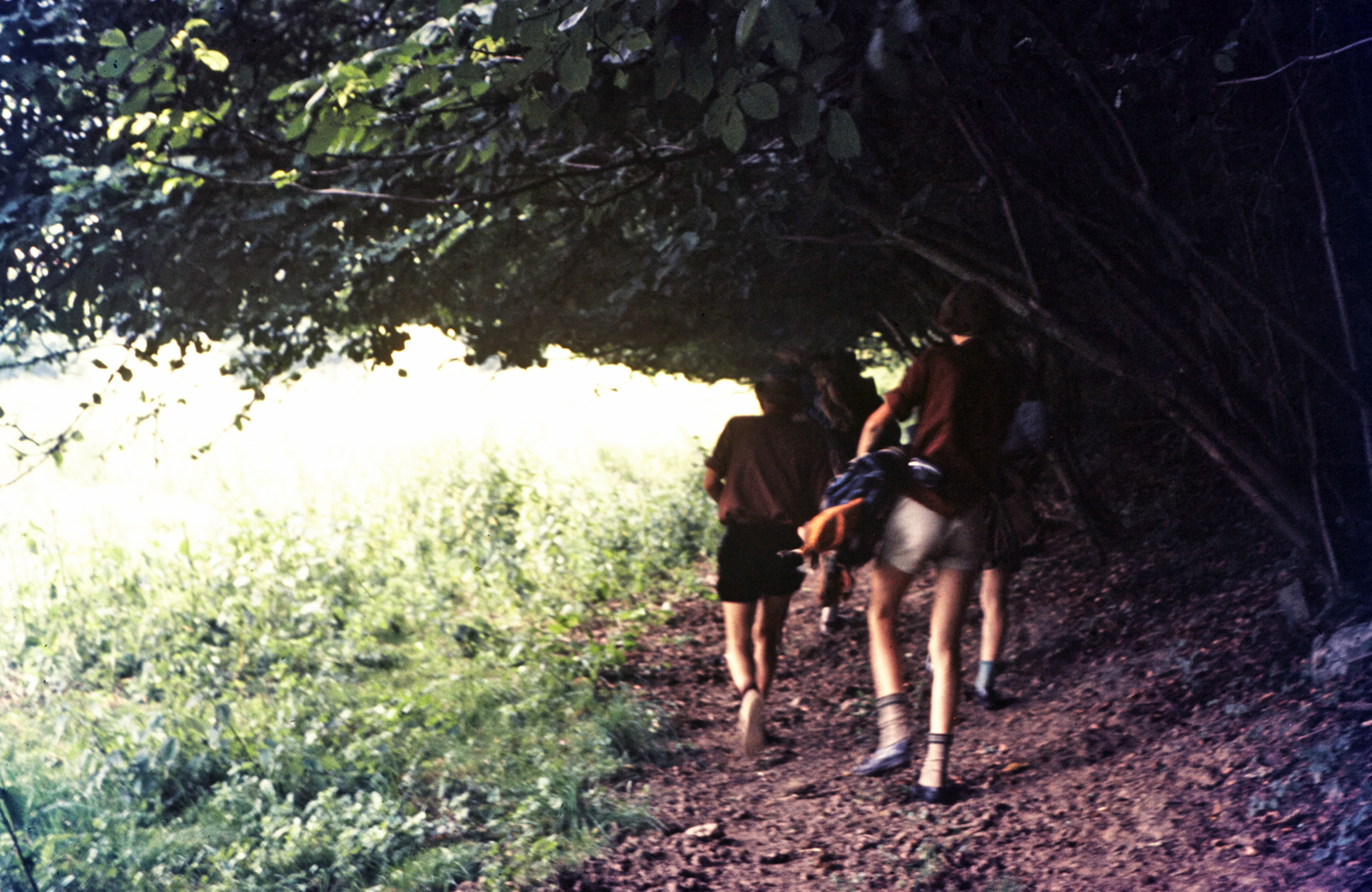 MJ0101_1972_Foto_17.jpg