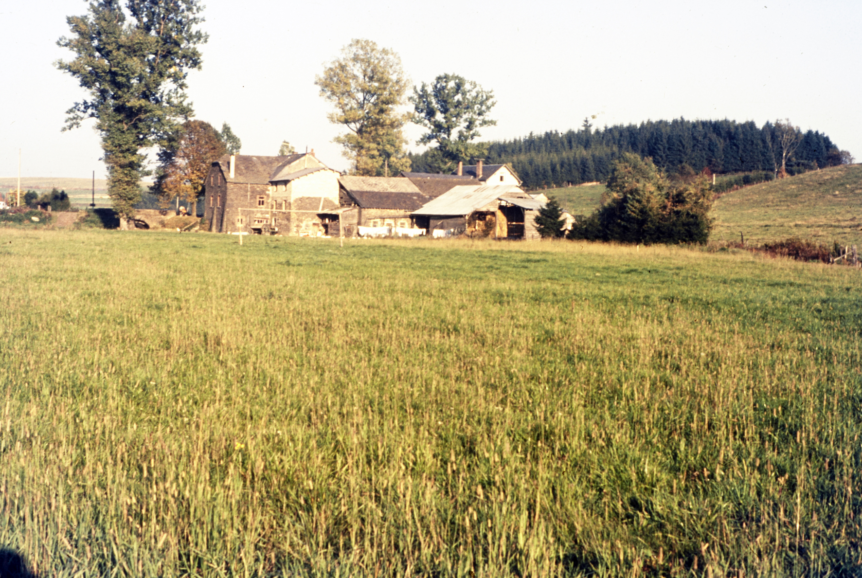 MJ0101_1972_Foto_33.jpg