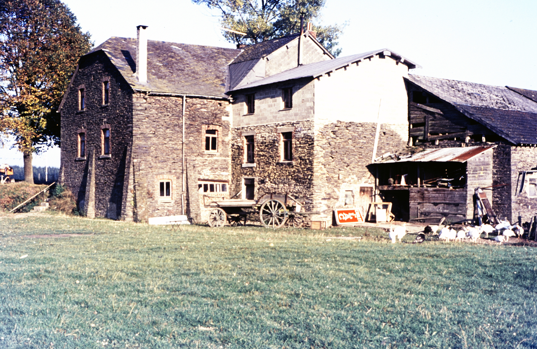 MJ0101_1972_Foto_95.jpg
