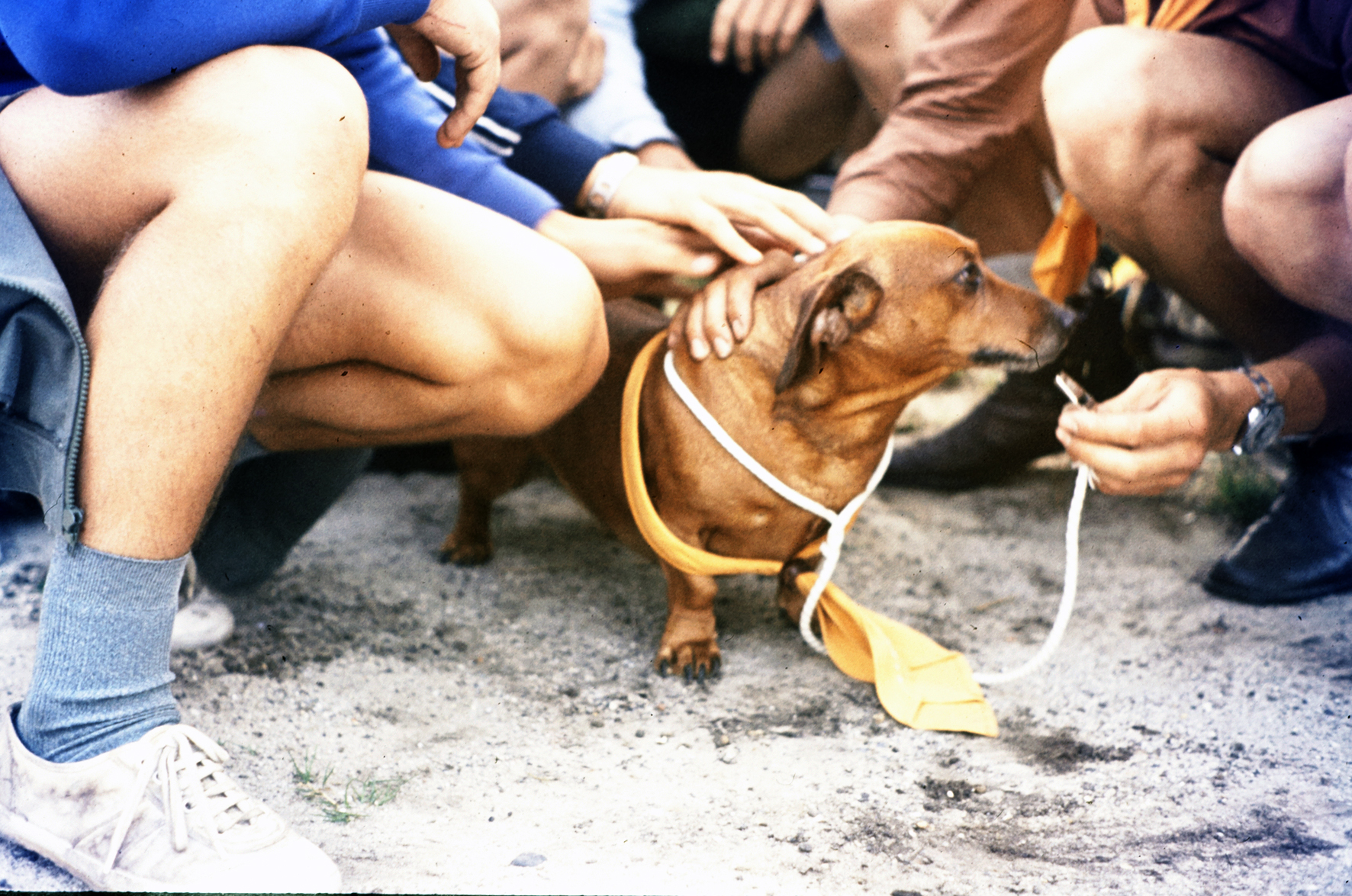 MJ0101_1973_Foto_22.jpg