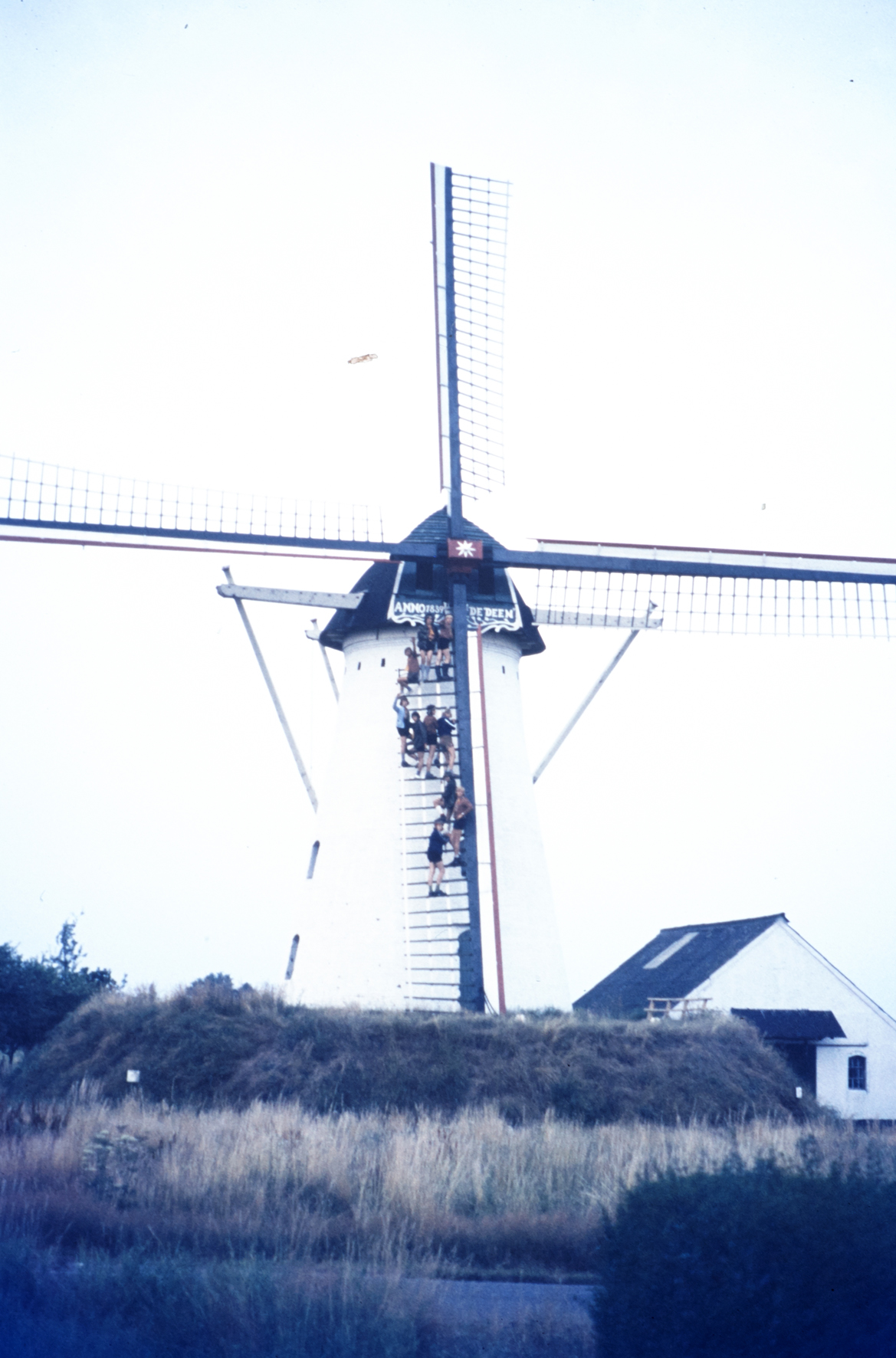 MJ0101_1973_Foto_37.jpg