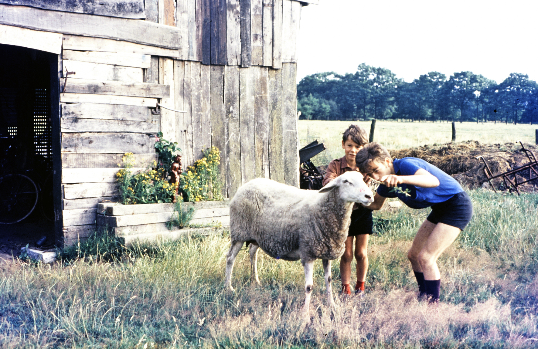 MJ0101_1973_Foto_46.jpg