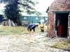 MJ0101_1973_Foto_30.jpg