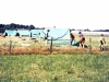 MJ0101_1973_Foto_55.jpg