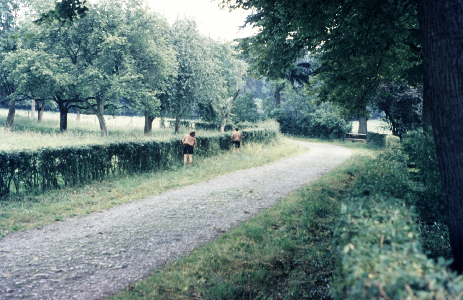 MJ0101_1974_Foto_76.jpg
