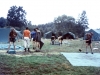 MJ0101_1974_Foto_29.jpg