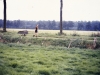 MJ0101_1975_Foto_28.jpg