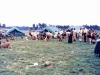 MJ0101_1975_Foto_46.jpg