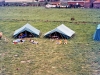 MJ0101_1975_Foto_76.jpg
