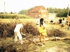 MJ0101_1986_Foto_50.jpg