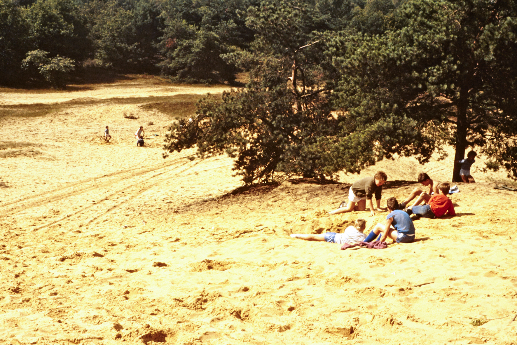 MJ0101_1987_Foto_29.jpg