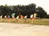 MJ0101_1988_Foto_26.jpg