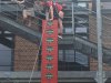 IMG_1550