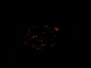 41226_151649438181851_7776214_n.jpg